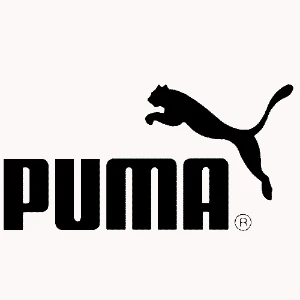 Puma Ayakkabı