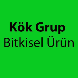 Kök Grup Bitkisel Ürün