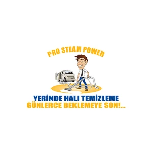Pro Steam Power Halı ve Koltuk Temizleme